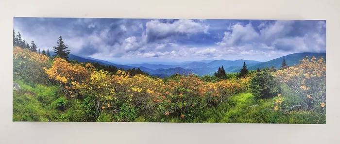 A wide panoramic photograph of a green mountain meadow full of yellow wildflowers, blue ridgelines and clouds beyond